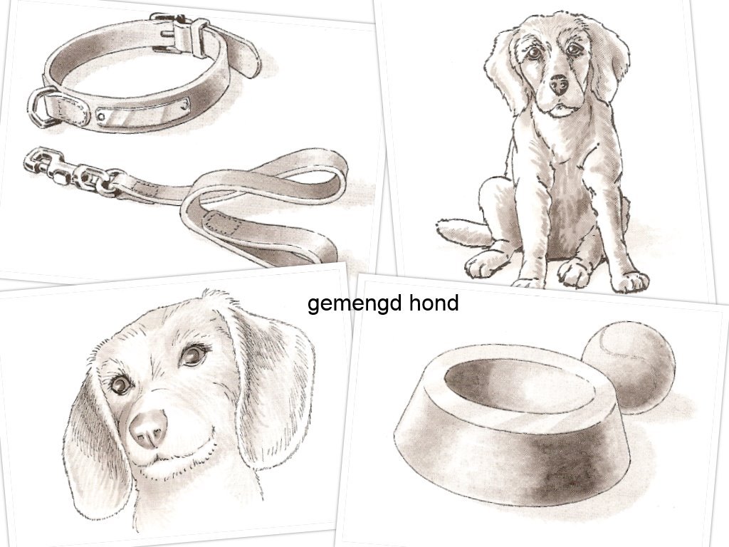 gemengd hond zwart wit